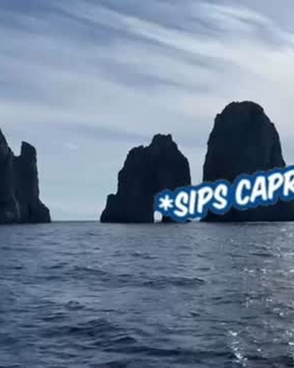 Let the sun, the sea breeze and the beauty of Capri create an unforgettable experience you’ll cherish forever! 🔆🥂🌅. 🌐www.sunrisesorrento.com
📩info@sunrisesorrento.com
📱+39 334 994 0458. #capri #sorrento #boat #boatlife #luxury